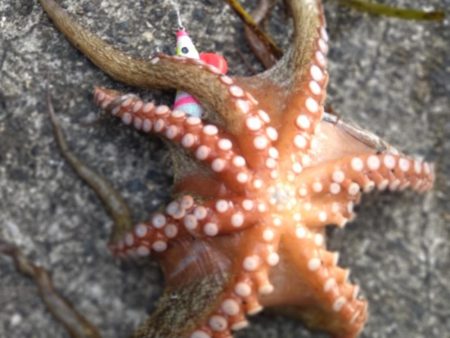 予定変更の姫路行き